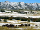 Fondos de escritorio y pantalla de Montes, Montaas, Cordilleras Nevadas